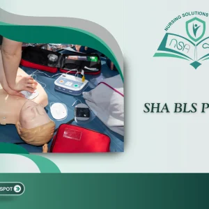 SHA BLS Provider